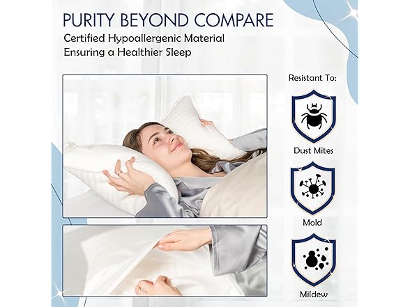 DLNIA Luxury Bed Pillows Queen Size Set of 2