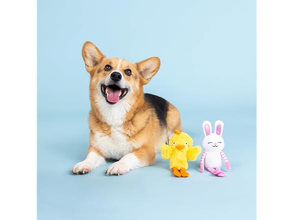Fringe Studio Plush Dog Toy, 2 Pieces Set