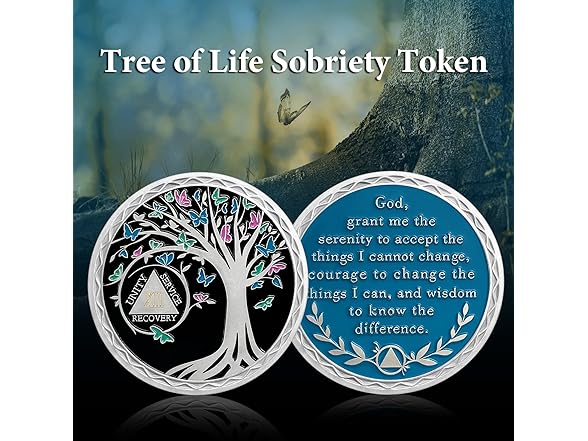 IELCJJ 13 Year Sobriety Coin