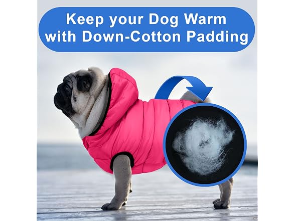 Pawtitas Reversible Windproof Dog Jacket | W