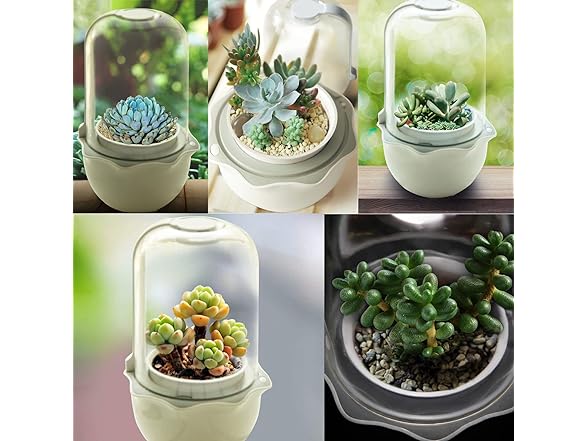 CheerGrow CheerGrow Succulent Pot with Grow Ligh