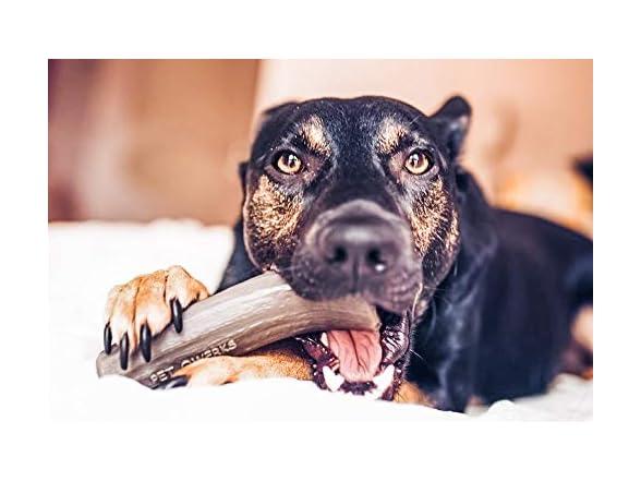 Pet Qwerks Nylon Antler Liver Flavor