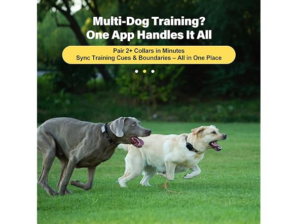 Lilyeel GPS Wireless Dog Fence System