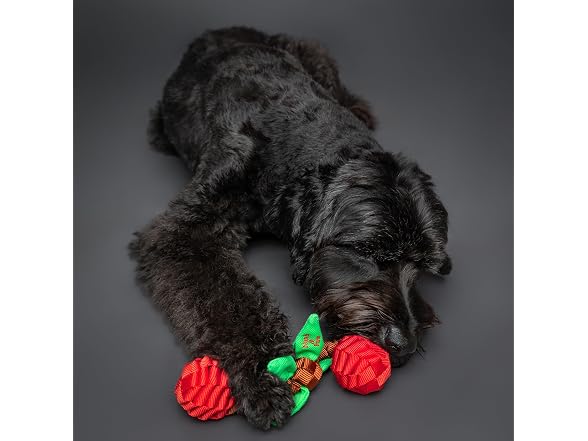 NOAH & PAW Luxury Dog Toy, Cherry