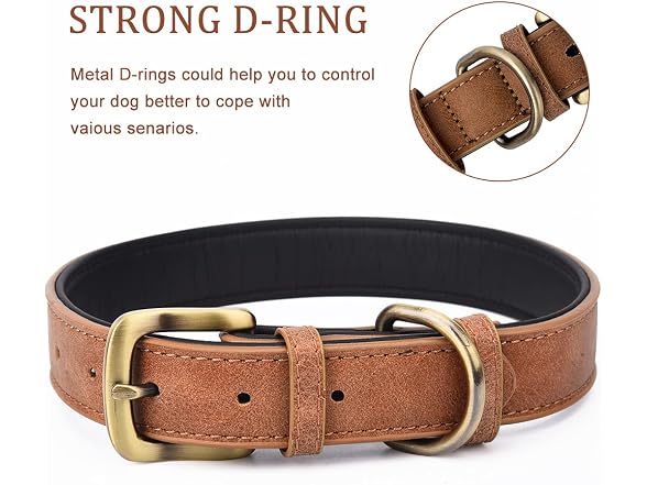 Classic Brown Leather Dog Collar for Small Me