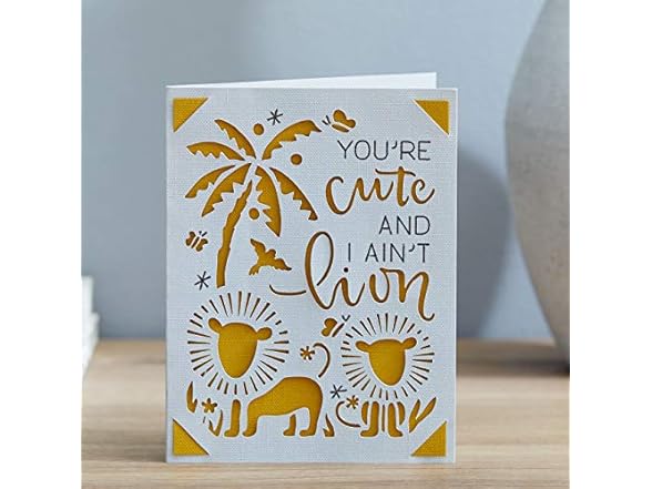 Cricut Joy Insert Cards - DIY Greeting Card