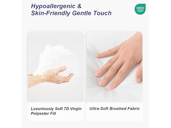 Pillow Insert Set of 2