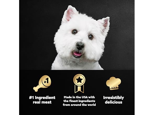 Cesar Classic Loaf in Sauce Wet Dog Food, Filet Mi