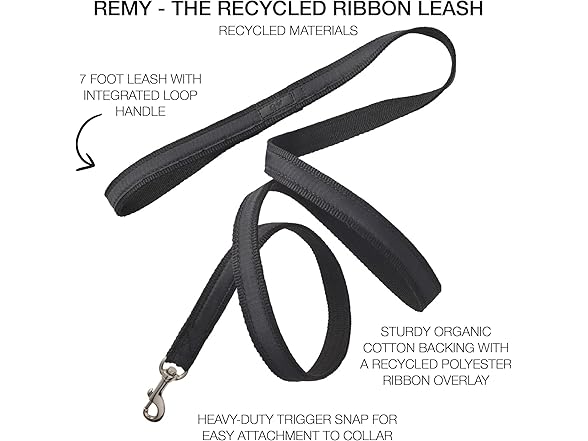 Pet Passion Recycled Ribbon Dog Leash 7Ft.