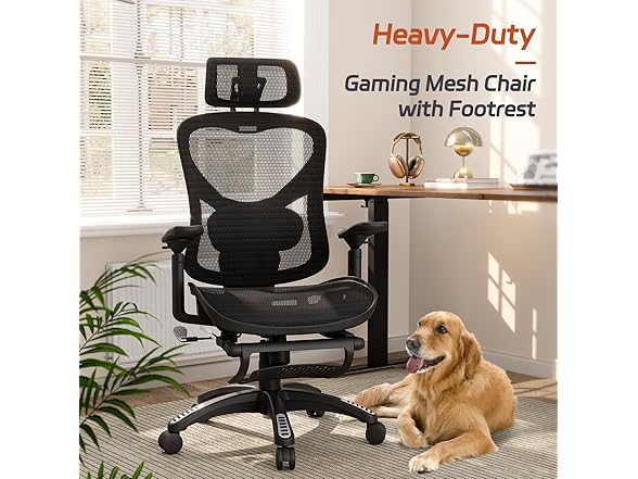 NexHut office chair with lumbar support