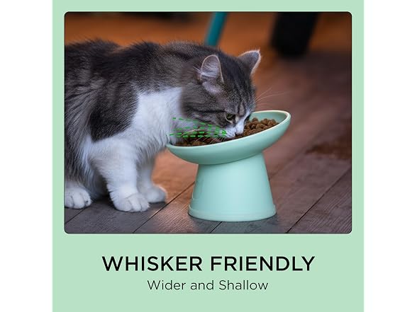 Necoichi 2pcs Tilted Elevated Cat Food Bowls