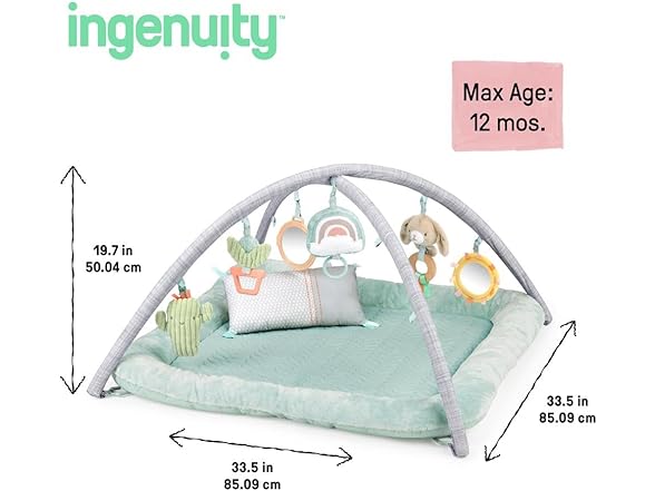 Ingenuity Calm Springs Plush Activity Gym