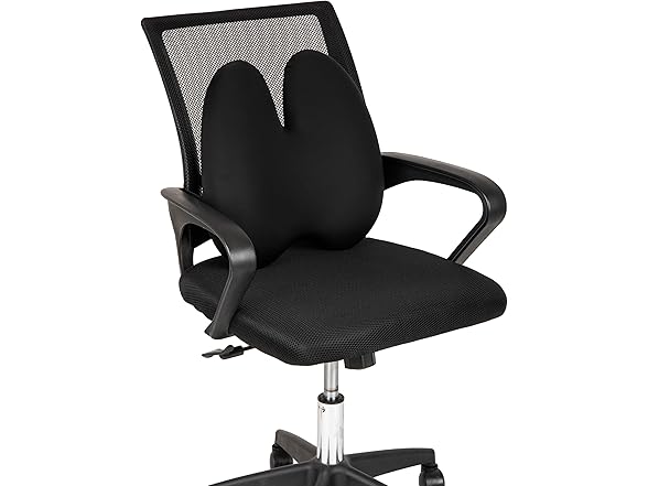 Mind Reader Lumbar Support Pillow