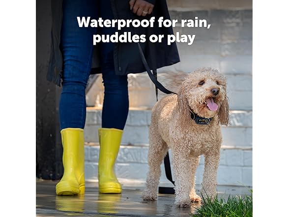 PetSafe Core Digital Dog Bark Collar Waterproof Anti-Bark