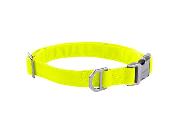 Carhartt Field Dog Collar, Fully Adjustable