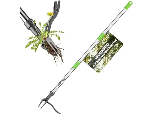 WORKPRO Weed Puller Tool Pick Color