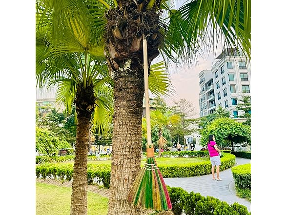 TTS For Home -Vietnamese Straw Broom