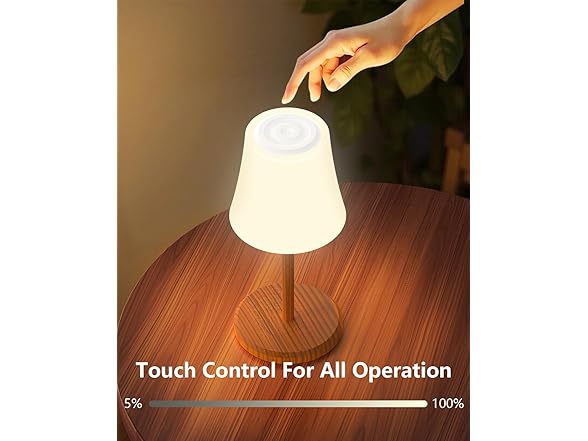 Wood Grain 2 Pack Touch Lights