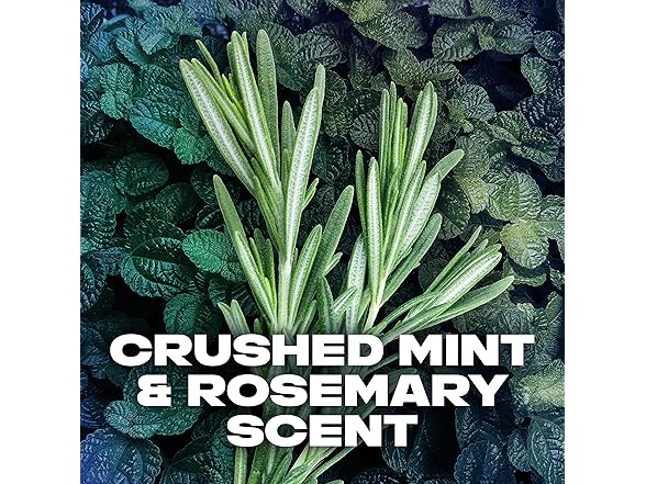 AXE Dual Action Deodorant Stick for Long