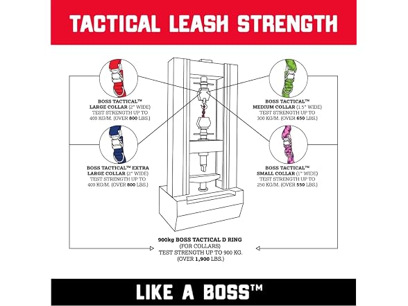 Boss Dog Tactical Collar, Blue, Medium