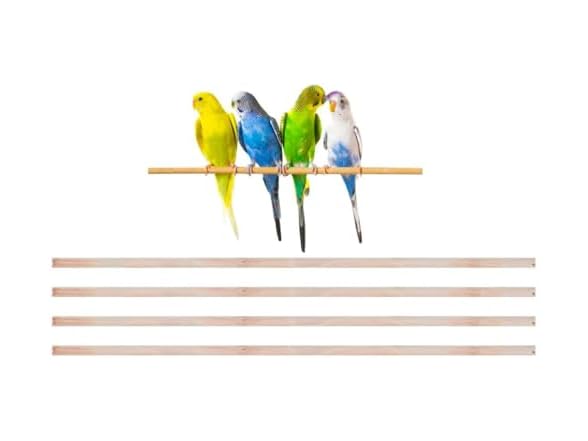 New Natural Wood Perches for Bird Cage, Many