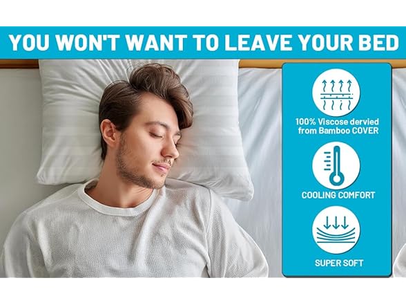 DrSleeep Down Alternative Pillow Set