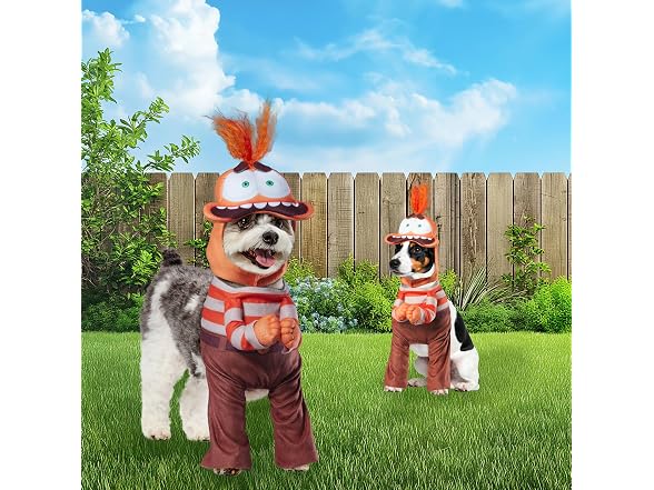 Rubies Disney Inside Out: Anxiety Pet Costume