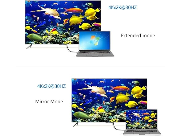 DisplayPort to HDMI 6' Cable