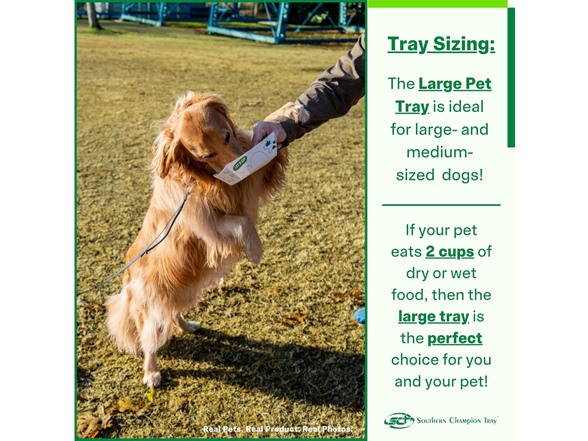 SCT, Disposable Pet Food Bowls - Your Choice