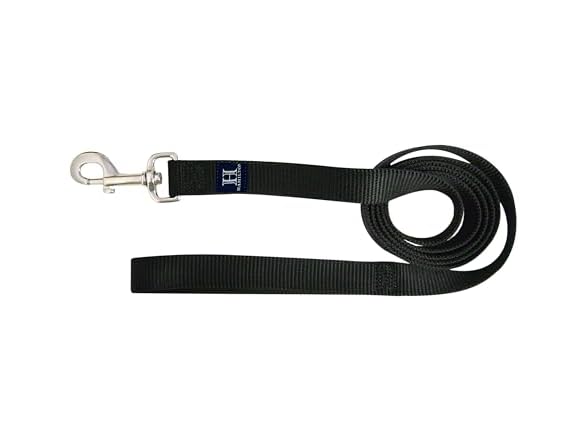 Hamilton Single Thick Deluxe Nylon Dog Leash- Black