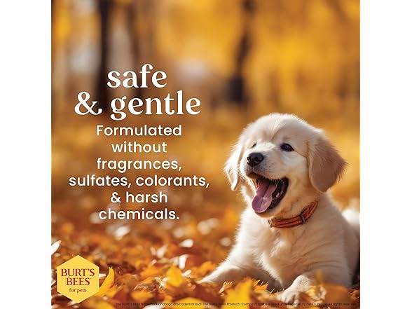 Burt’s Bees for Pets Tear Free Puppy Shampoo & Conditioner