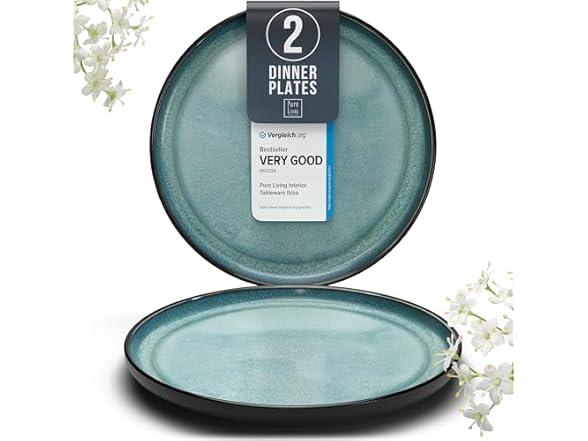 Ibiza-Style Stoneware Dinner Plates Set of 2