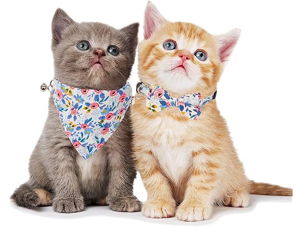 Cat Collars and Cat Bandana Triangle Scarfs