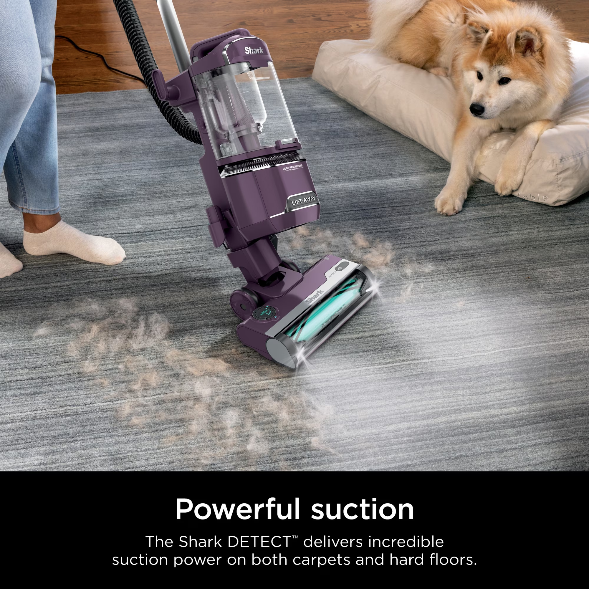 Shark Detect Lift-Away Upright Vacuum - Gallery 29
