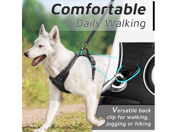 Pet Vest Harness with 2 Leash Clips, Adjusta
