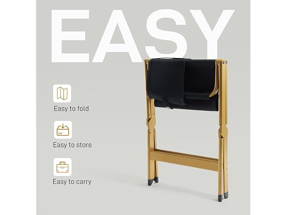 EVER ADVANCED Directors Chair