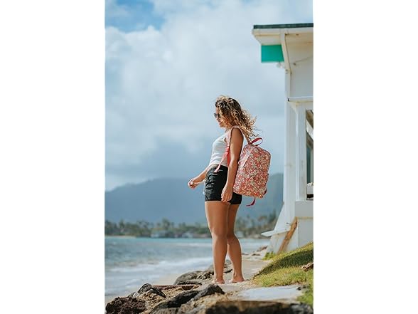 Roxy Women's Sugar Baby Backpack: Your Choice 