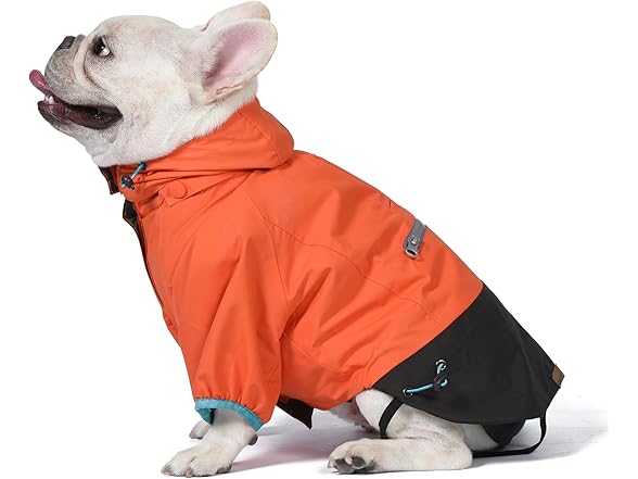 Orvis Dog All Season Trekker 3-in-1 Coat