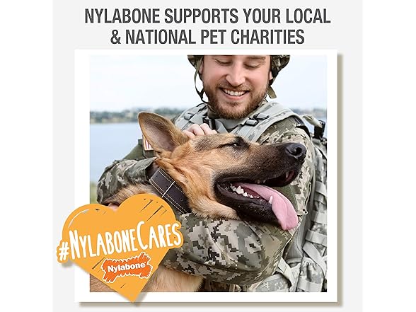 Nylabone Double Action Bone Puppy Chew