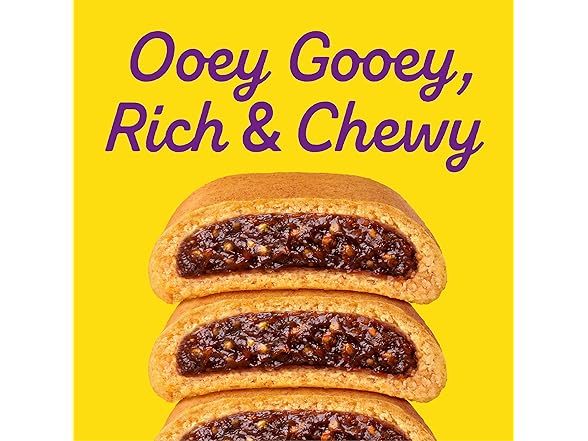 Newtons Soft & Fruit Chewy Fig Cookies, 