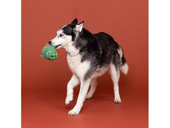 Fringe Studio Rubber Dog Toy, Prickly