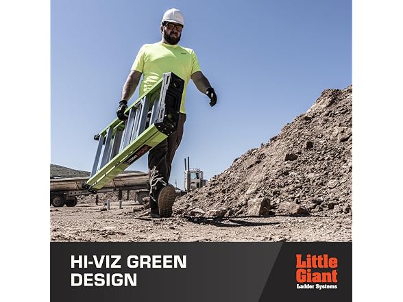 Little Giant Ladder Systems 15796-001 6' A-FORCE300