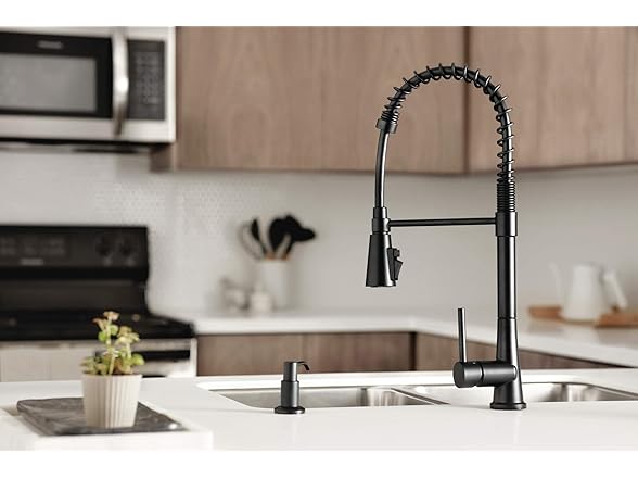 Precept Pull-Down Faucet