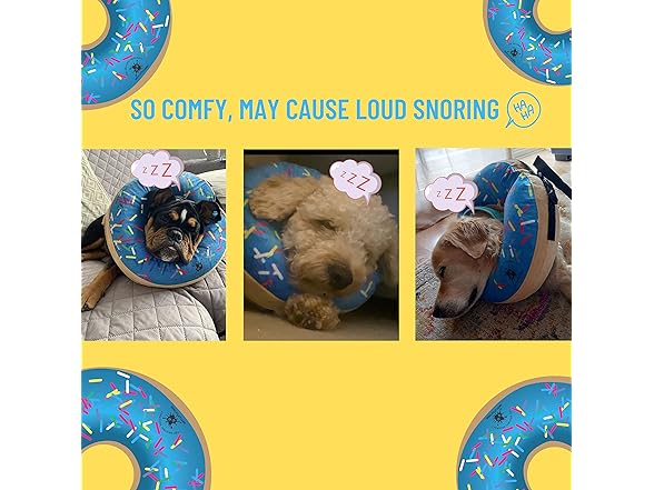 DIRTY LITTLE PAWS Dog Donut Collar