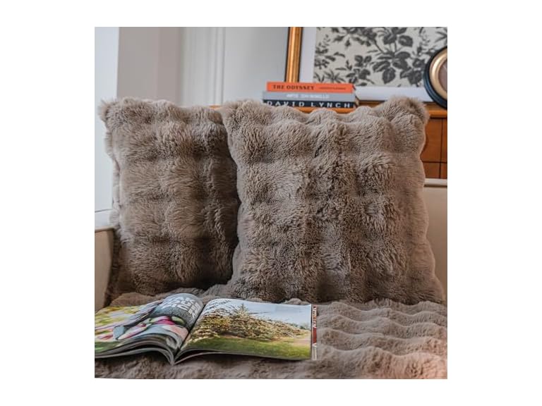 Cozy Faux Fur Throw Pillow Covers 2 Pack