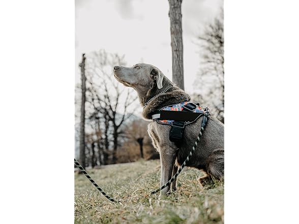 DOGGYKINGDOM No Choke Dog Harness with Handl