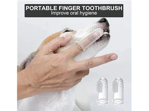 Dog Toys for Aggressive Chewers