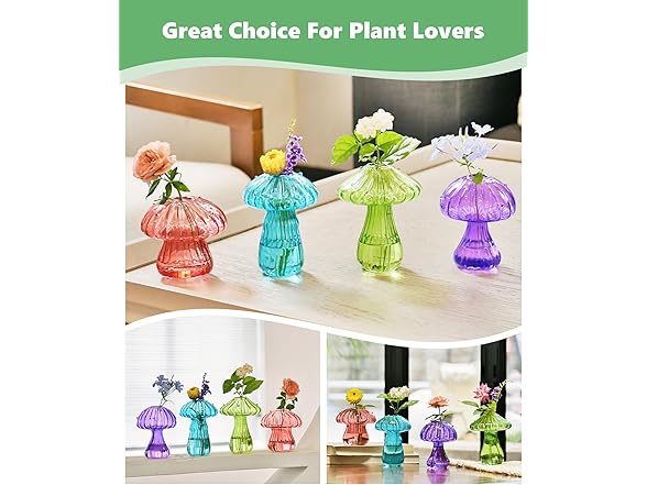 4 Pack Mushroom Glass Plant Terrarium