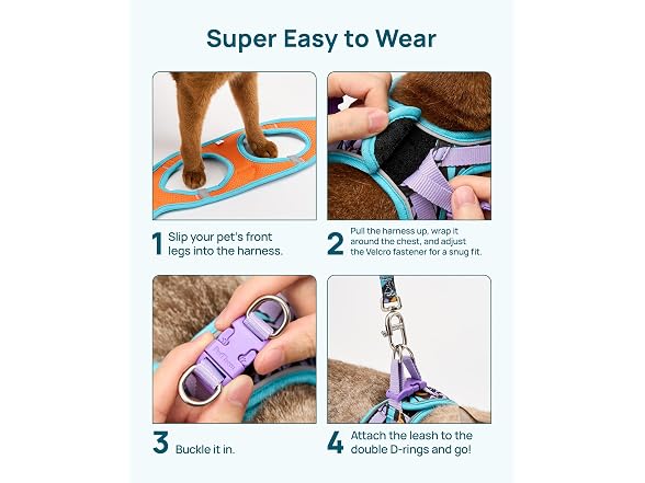 PetThem Upgraded Cat Harness and Leash Set