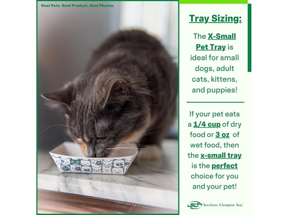 SCT, Disposable Pet Food Bowls - Your Choice